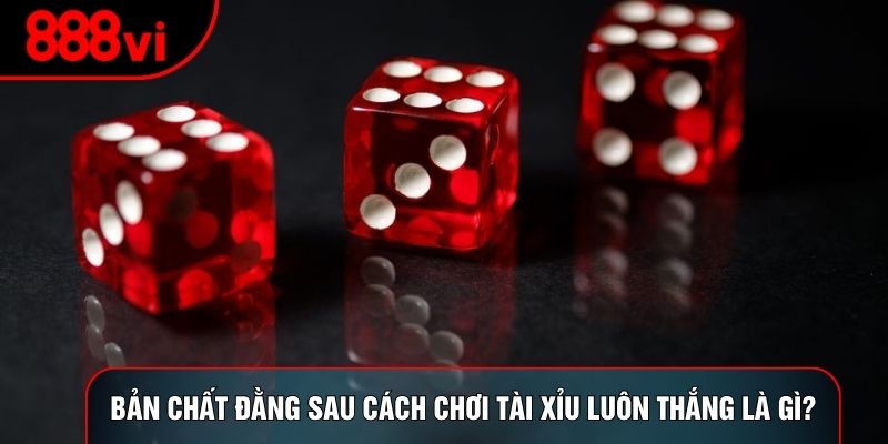 Bản chất đằng sau cách chơi tài xỉu luôn thắng là gì?