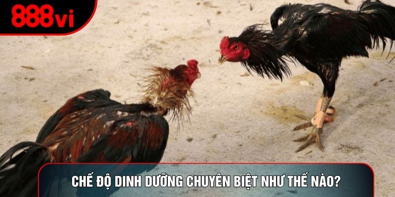 Chế độ dinh dưỡng chuyên biệt như thế nào?