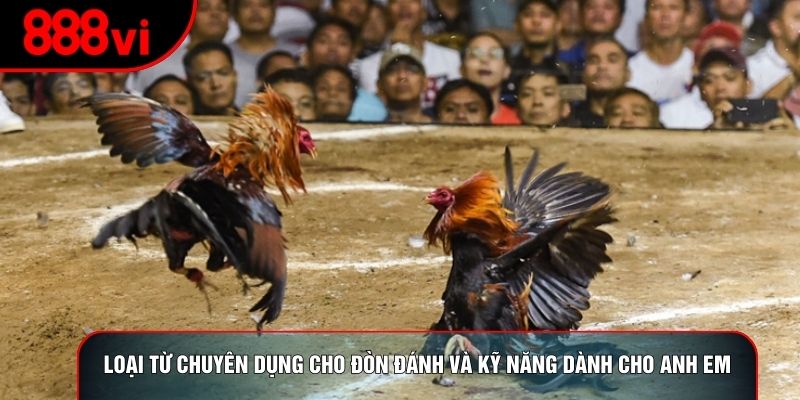 Loại từ chuyên dụng cho đòn đánh và kỹ năng dành cho anh em