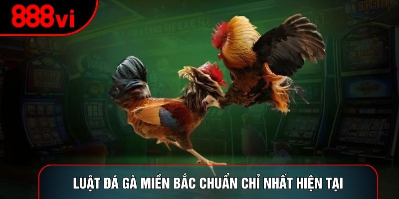 Luật đá gà miền Bắc chuẩn chỉ nhất hiện tại