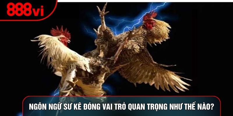 Ngôn ngữ sư kê đóng vai trò quan trọng như thế nào?