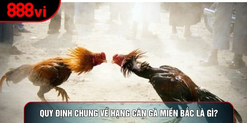Quy định chung về hạng cân gà miền Bắc là gì?
