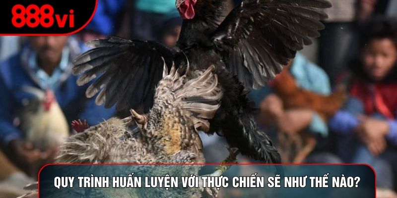 Quy trình huấn luyện với thực chiến sẽ như thế nào?