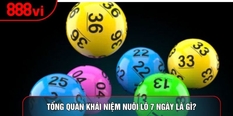 Tổng quan khái niệm nuôi lô 7 ngày là gì?